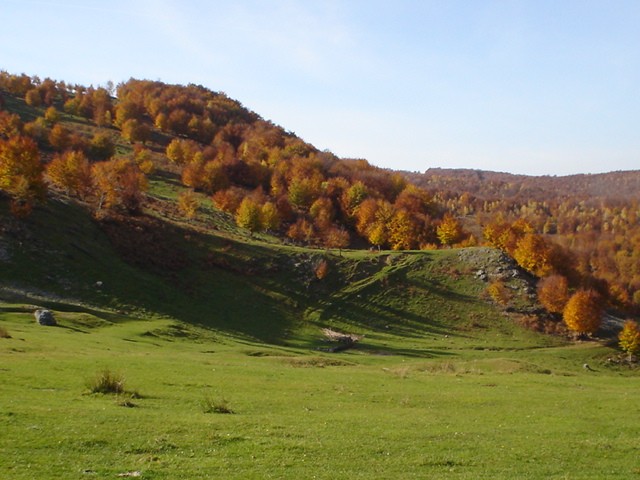 Comuna Sîg